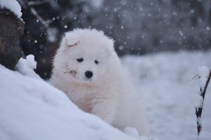 IMG_20231223_165449-scaled