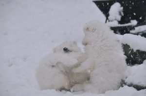 IMG_20240106_171913-scaled