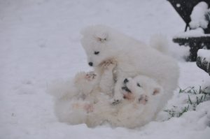 IMG_20240106_172005-scaled