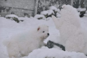 IMG_20240106_172111-scaled