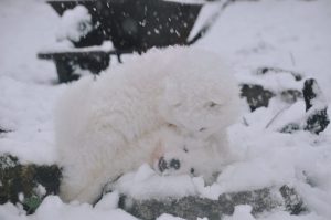 IMG_20240106_172153-scaled