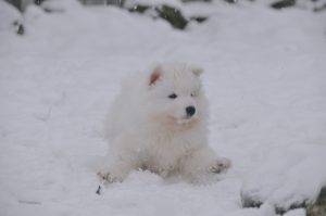 IMG_20240106_172336-1-scaled